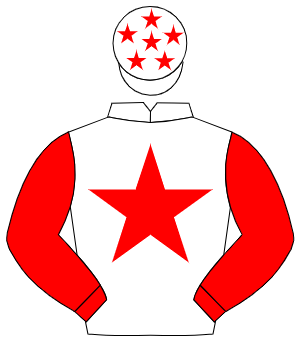WHITE, red star & sleeves, red stars on cap
