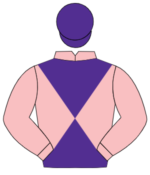 PINK & PURPLE DIABOLO, pink sleeves, purple cap