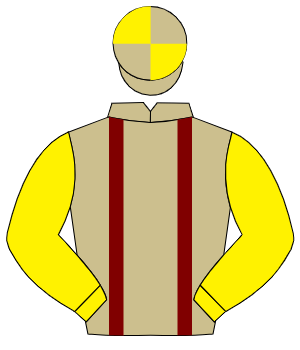 BEIGE, maroon braces, yellow sleeves, beige & yellow quartered cap