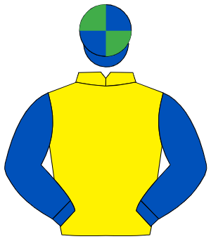 YELLOW, royal blue sleeves, royal blue & emerald green quartered cap