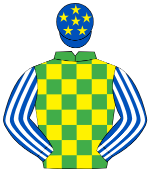 EMERALD GREEN & YELLOW CHECK, royal blue & white striped sleeves, royal blue cap, yellow stars