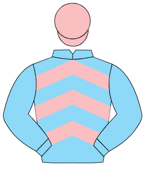 LIGHT BLUE & PINK CHEVRONS, light blue sleeves, pink cap