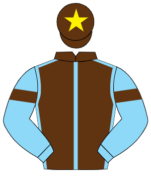 BROWN, light blue seams, light blue sleeves, brown armlet, brown cap, yellow star