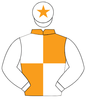 ORANGE & WHITE QUARTERED, white sleeves, white cap, orange star