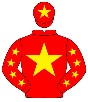RED, yellow star, yellow stars on sleeves, yellow star on cap