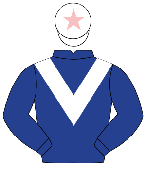 DARK BLUE, white chevron, white cap, pink star