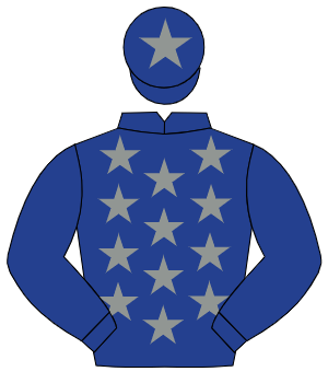 DARK BLUE, grey stars, dark blue sleeves, grey star on cap