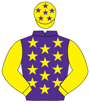 PURPLE, yellow stars, yellow sleeves, yellow cap, purple stars