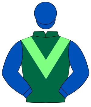 DARK GREEN, light green chevron, royal blue sleeves & cap