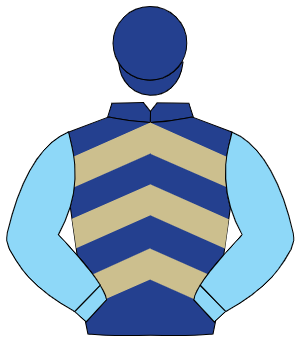 DARK BLUE & BEIGE CHEVRONS, light blue sleeves, dark blue cap