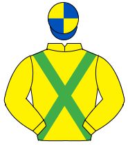 YELLOW, emerald green cross sashes, royal blue & yellow quartered cap