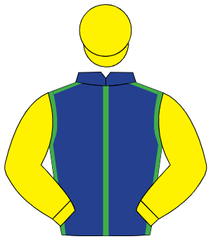 DARK BLUE, emerald green seams, yellow sleeves & cap