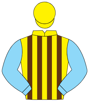 YELLOW & BROWN STRIPES, light blue sleeves, yellow cap