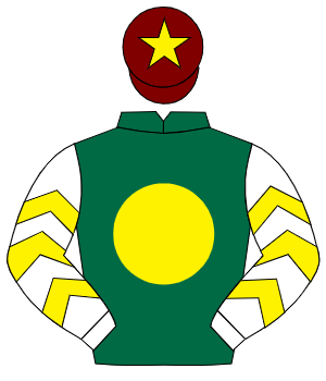 DARK GREEN, yellow disc, white sleeves, yellow chevrons, maroon cap, yellow star
