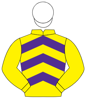 YELLOW & PURPLE CHEVRONS, yellow sleeves, white cap
