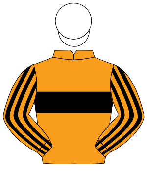 ORANGE, black hoop, striped sleeves, white cap