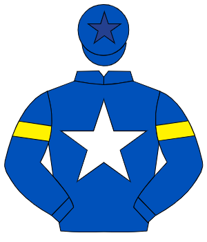 ROYAL BLUE, white star, yellow armlet, royal blue cap, dark blue star