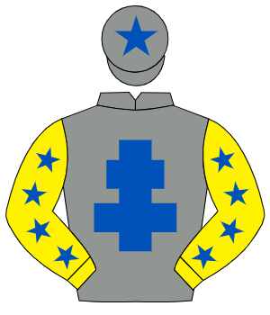 GREY, royal blue cross of lorraine, yellow sleeves, royal blue stars, grey cap, royal blue star