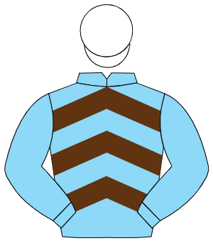 LIGHT BLUE & BROWN CHEVRONS, light blue sleeves, white cap