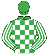 EMERALD GREEN & WHITE CHECK, striped sleeves, emerald green cap                                                                                       