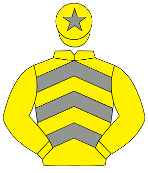 YELLOW & GREY CHEVRONS, yellow sleeves, yellow cap, grey star                                                                                         