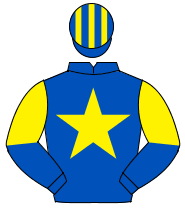 ROYAL BLUE, yellow star, halved sleeves, striped cap                                                                                                  
