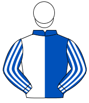 ROYAL BLUE & WHITE HALVED, striped sleeves, white cap                                                                                                 