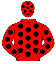 RED, black spots on body, sleeves & cap                                                                                                               