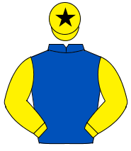 ROYAL BLUE, yellow sleeves, yellow cap, black star                                                                                                    