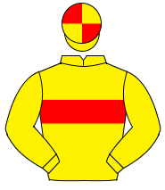 YELLOW, red hoop, yellow sleeves, quartered cap                                                                                                       