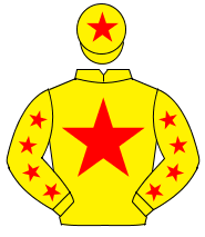 YELLOW, red star, red stars on sleeves, red star on cap                                                                                               