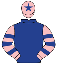 DARK BLUE, pink & dark blue hooped sleeves, pink cap, dark blue star                                                                                  