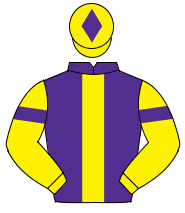 PURPLE, yellow panel, yellow sleeves, purple armlet, yellow cap, purple diamond                                                                       