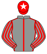 GREY, red seams, striped sleeves, red cap, white star                                                                                                 
