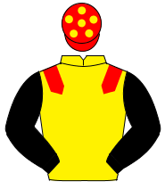 YELLOW, red epaulettes, black sleeves, red cap, yellow spots                                                                                          