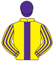 YELLOW, purple panel, striped sleeves, purple cap                                                                                                     