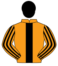 ORANGE, black panel, striped sleeves, black cap                                                                                                       