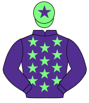 PURPLE, light green stars, purple sleeves, light green cap, purple star                                                                               