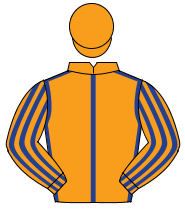 ORANGE, dark blue seams, striped sleeves, orange cap                                                                                                  