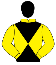 YELLOW & BLACK DIABOLO, yellow sleeves, black cap                                                                                                     