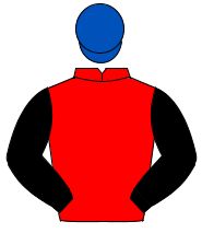 RED, black sleeves, royal blue cap                                                                                                                    