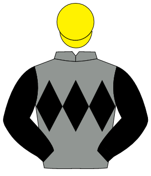 GREY, black triple diamond & sleeves, yellow cap                                                                                                      