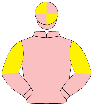 PINK, yellow halved sleeves, quartered cap                                                                                                            