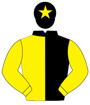 BLACK & YELLOW HALVED, yellow sleeves, yellow star on cap                                                                                             