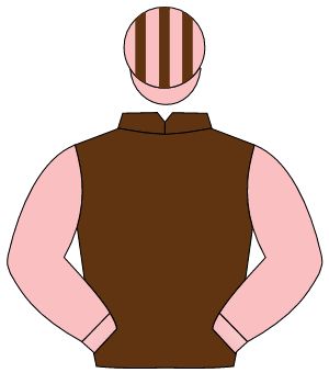 BROWN, pink sleeves, pink & brown striped cap                                                                                                         