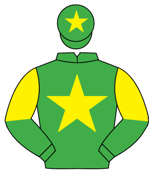 EMERALD GREEN, yellow star, halved sleeves, yellow star on cap                                                                                        