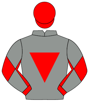 GREY, red inverted triangle, red sleeves, grey diabolo, red cap