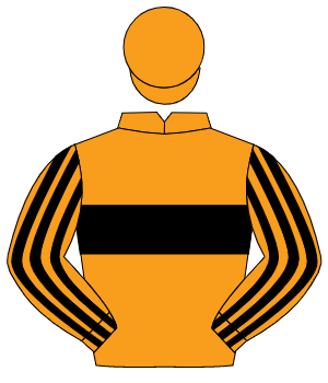ORANGE, black hoop, striped sleeves, orange cap                                                                                                       