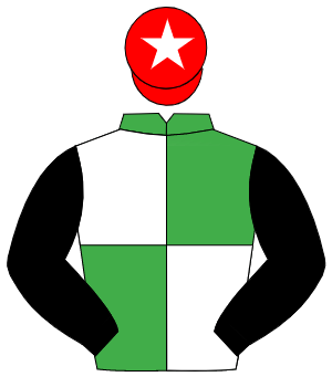 EMERALD GREEN & WHITE QUARTERED, black sleeves, red cap, white star