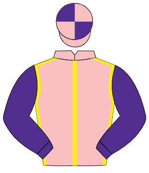 PINK, yellow seams, purple sleeves, pink & purple quartered cap                                                                                       